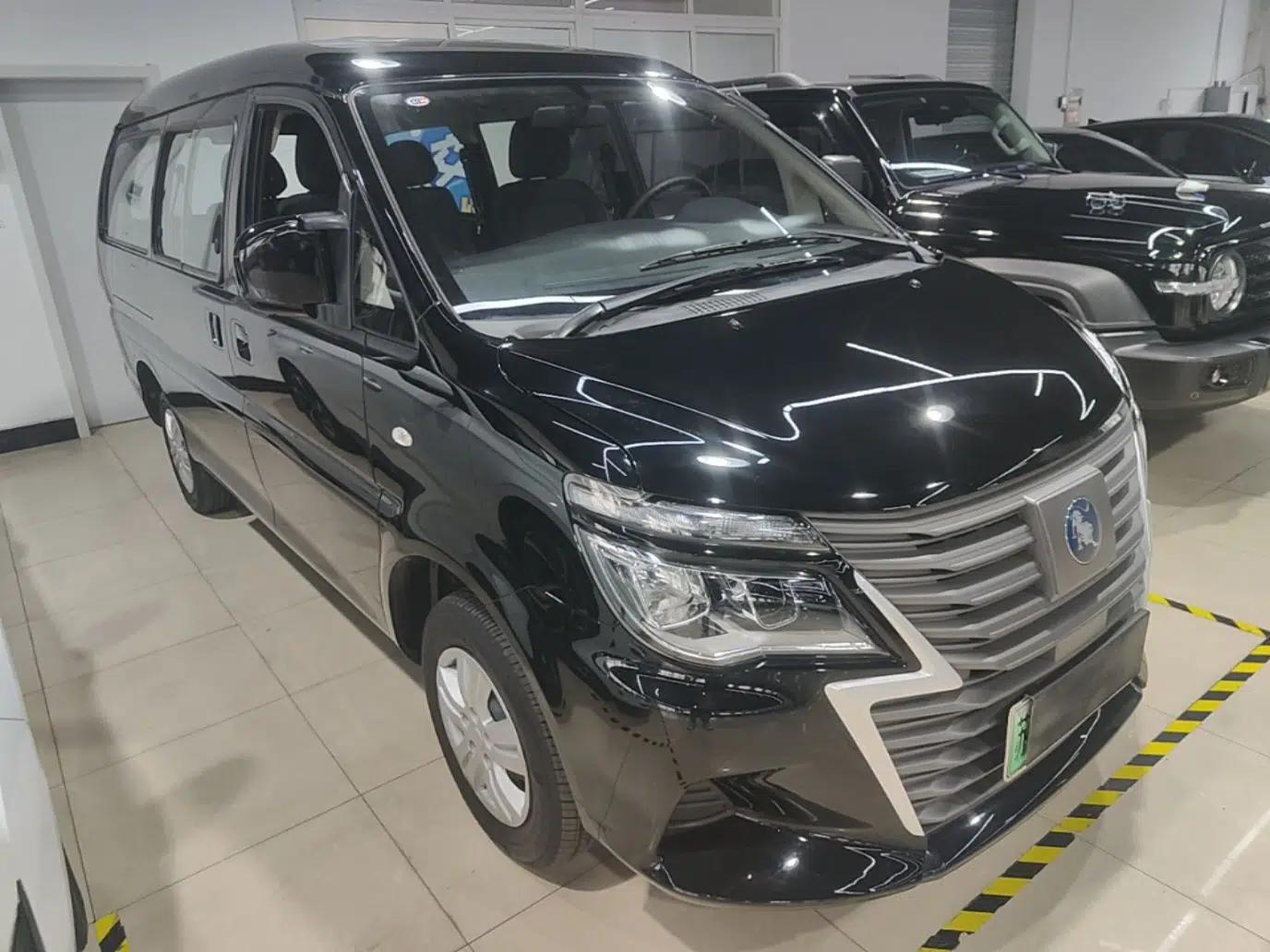 FORTHING Lingzhi M5 2025 Model, 420km Pure Electric Urban Version, 5-seater — миниатюра 3