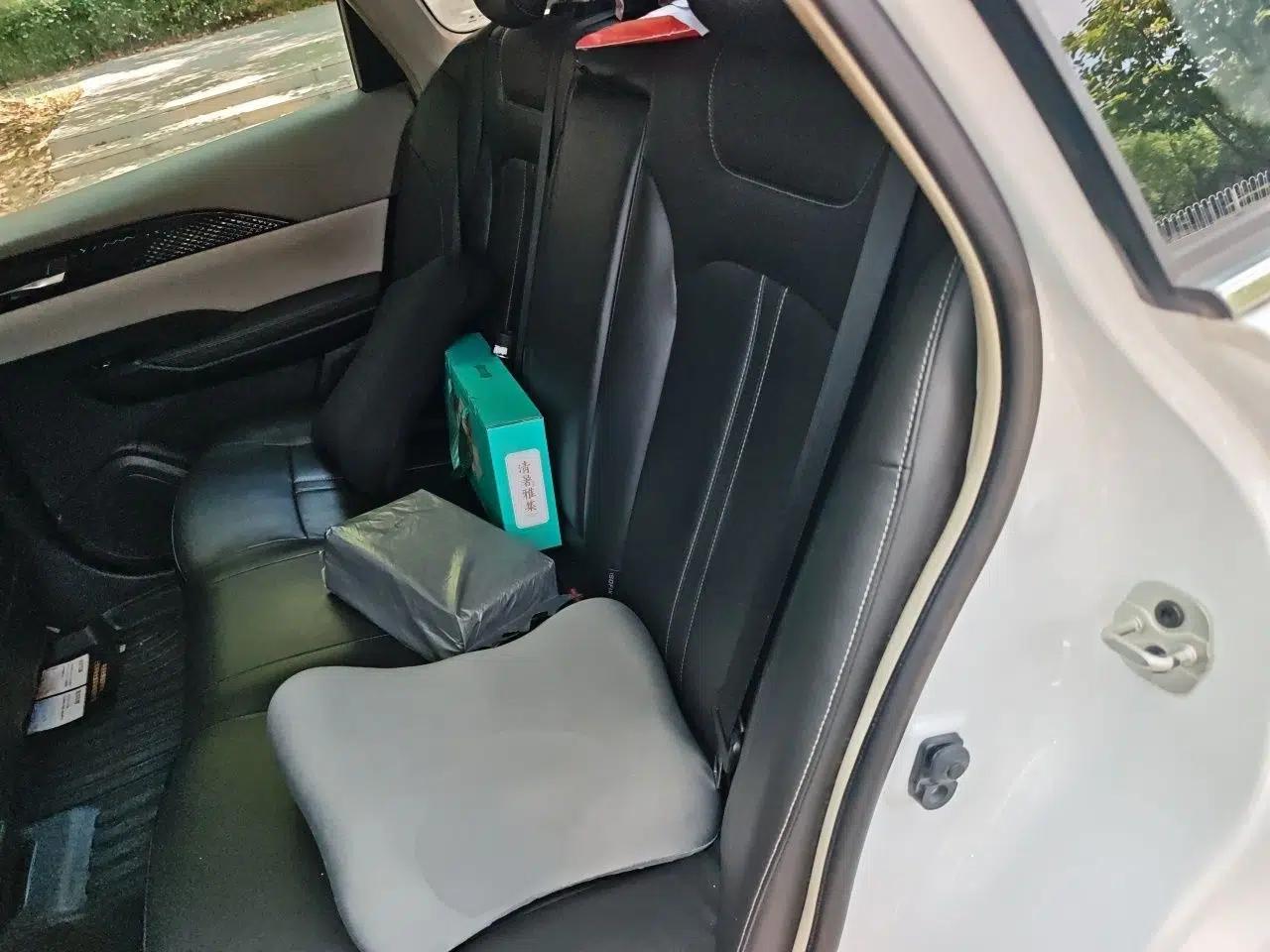 Dongfeng Aeolus E70 2020 500 Super Delight Edition — миниатюра 17