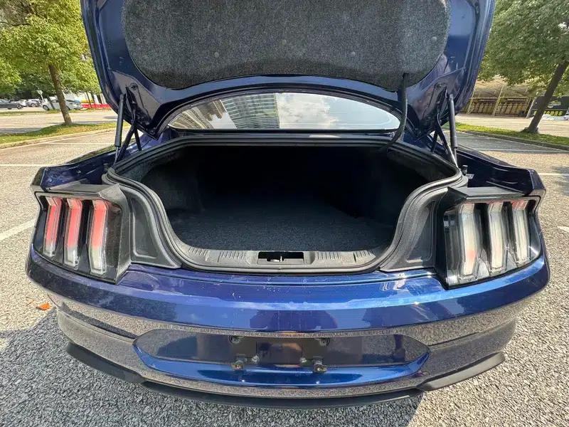 2019 Mustang 2.3T EcoBoost — миниатюра 18