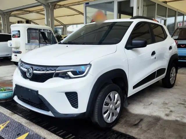 Dongfeng NAMMI EX1 2022 PRO Joyful Edition