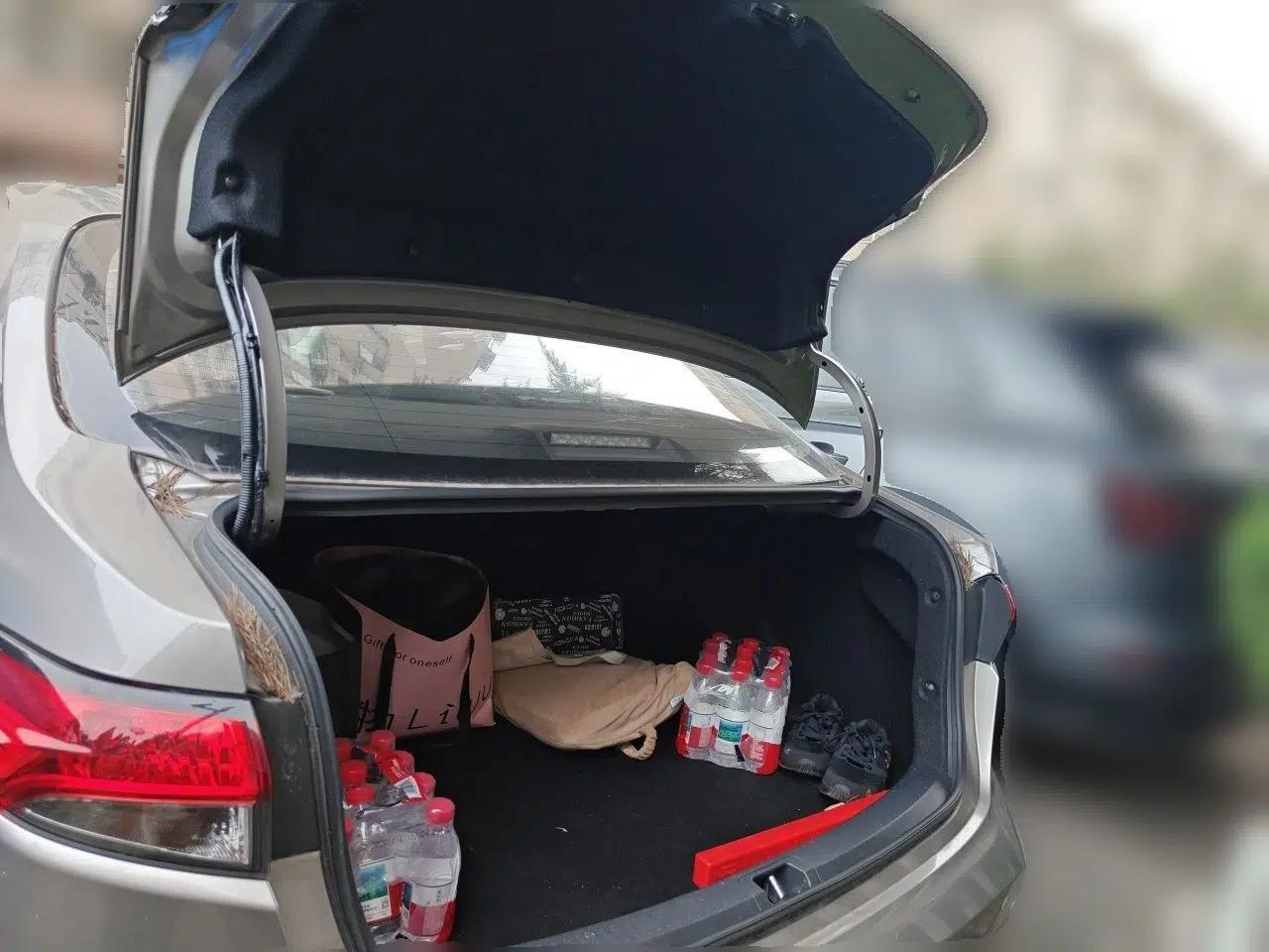 Toyota Levin 2021 2.0L Luxury Edition — миниатюра 19