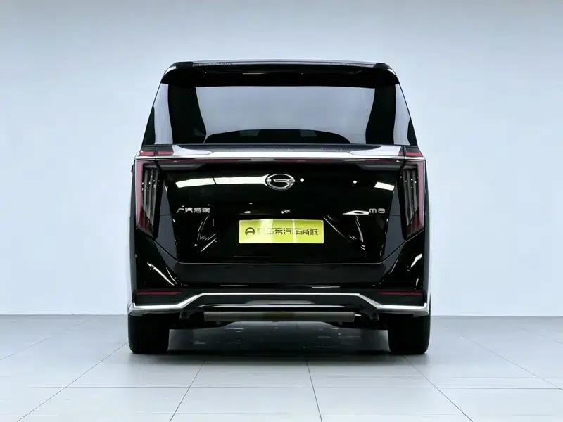 Trumpchi M8 2024 Master Series 2.0TGDI Supreme Edition — миниатюра 6