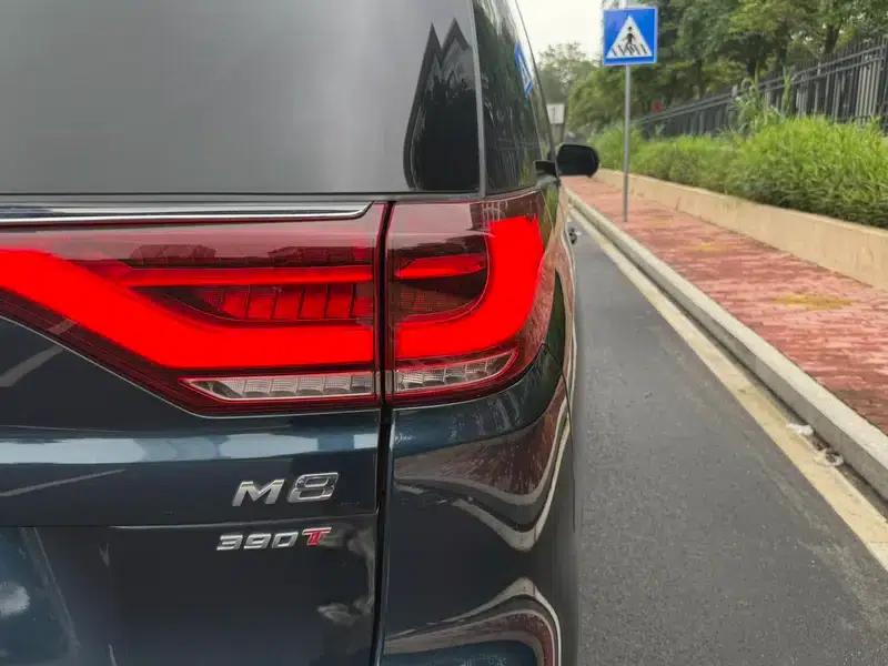 Trumpchi M8 2021 Master Series 390T Supreme Edition — миниатюра 8