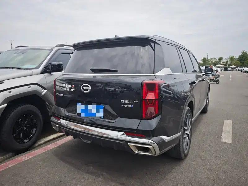 Trumpchi GS8 2024 Dual Engine Series 2.0TM Hybrid Four-Wheel Drive Premium Edition — миниатюра 5
