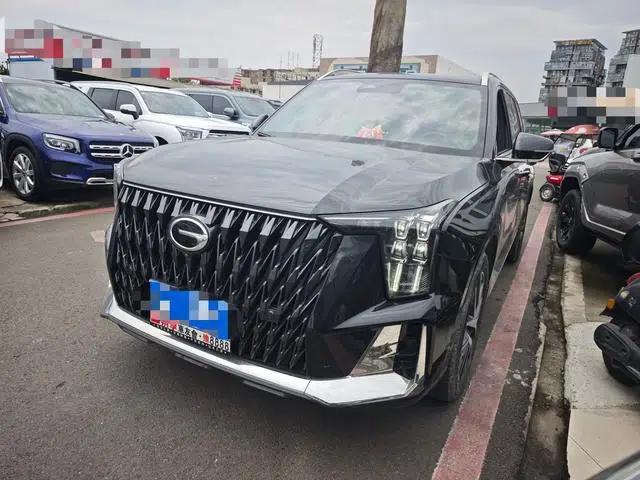 Trumpchi GS8 2024 Dual Engine Series 2.0TM Hybrid Four-Wheel Drive Premium Edition