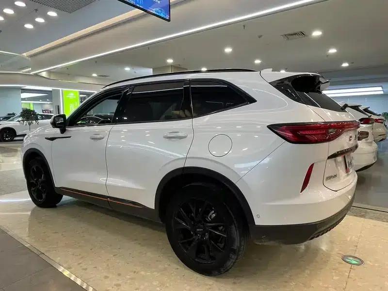 Haval H6 2021 Third Generation 2.0T Automatic Four-Wheel Drive Supreme+ Edition — миниатюра 4