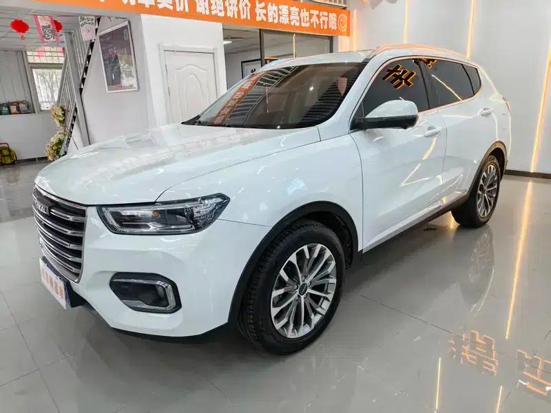 Haval H6 2020 2.0GDIT Automatic Platinum Luxury Edition — миниатюра 1
