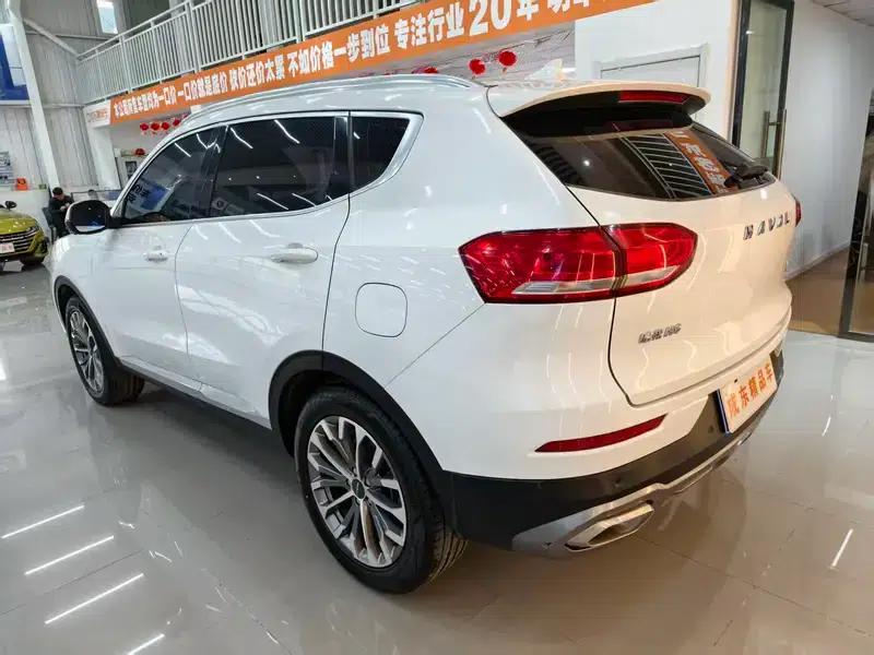 Haval H6 2020 2.0GDIT Automatic Platinum Luxury Edition — миниатюра 4