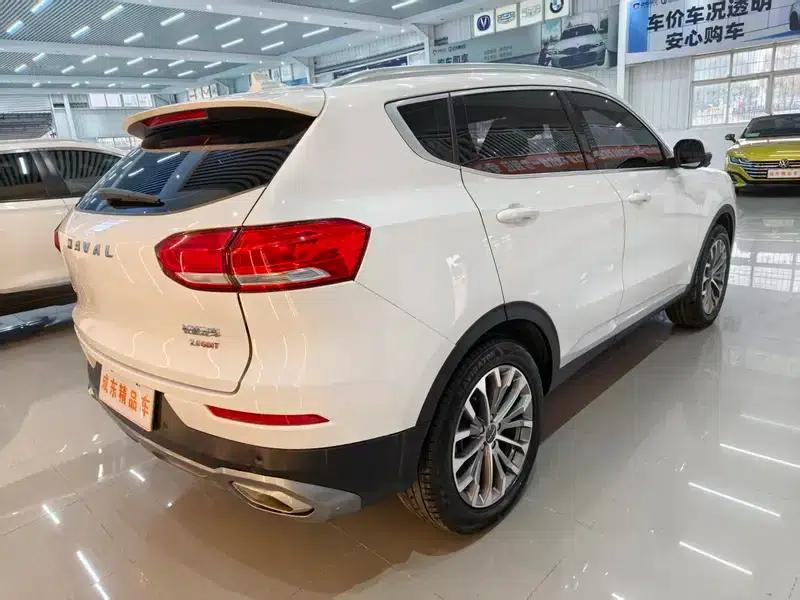 Haval H6 2020 2.0GDIT Automatic Platinum Luxury Edition — миниатюра 6