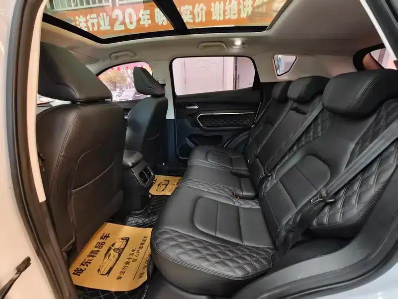Haval H6 2020 2.0GDIT Automatic Platinum Luxury Edition — миниатюра 9