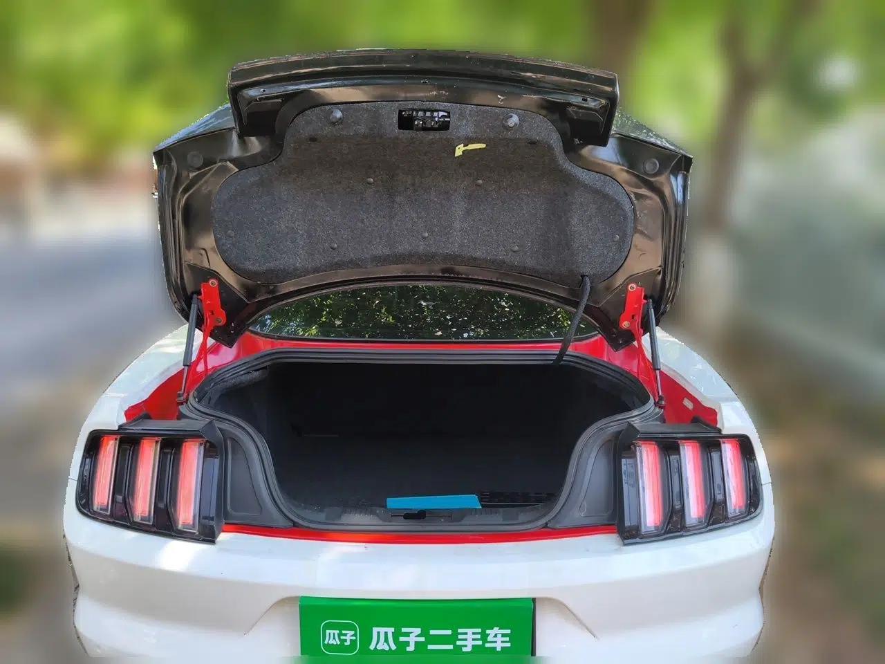 Ford Mustang 2015 2.3T Performance Edition — миниатюра 19