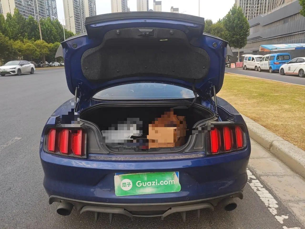 Ford Mustang 2015 Ford Mustang 2.3L Automatic Gasoline 4-Seater (Parallel Import) — миниатюра 19