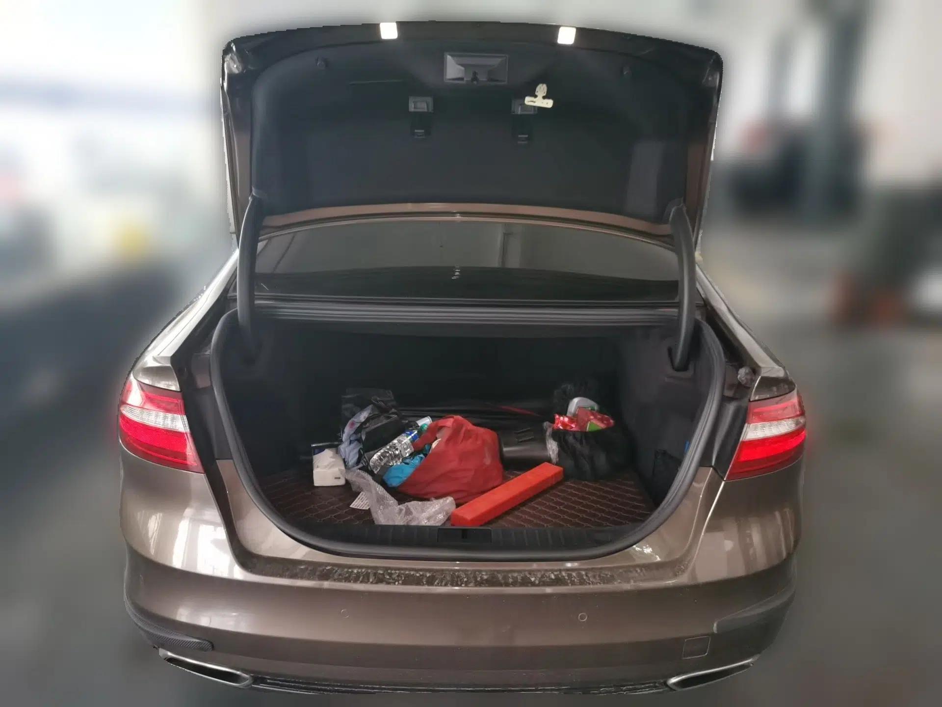 Ford Taurus 2017 EcoBoost 245 Flagship Model — миниатюра 19