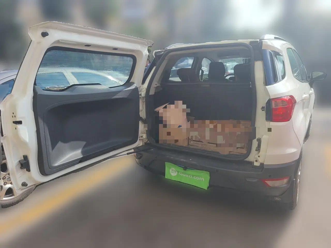 Ford EcoSport 2013 1.5L Automatic Fashion Model — миниатюра 19