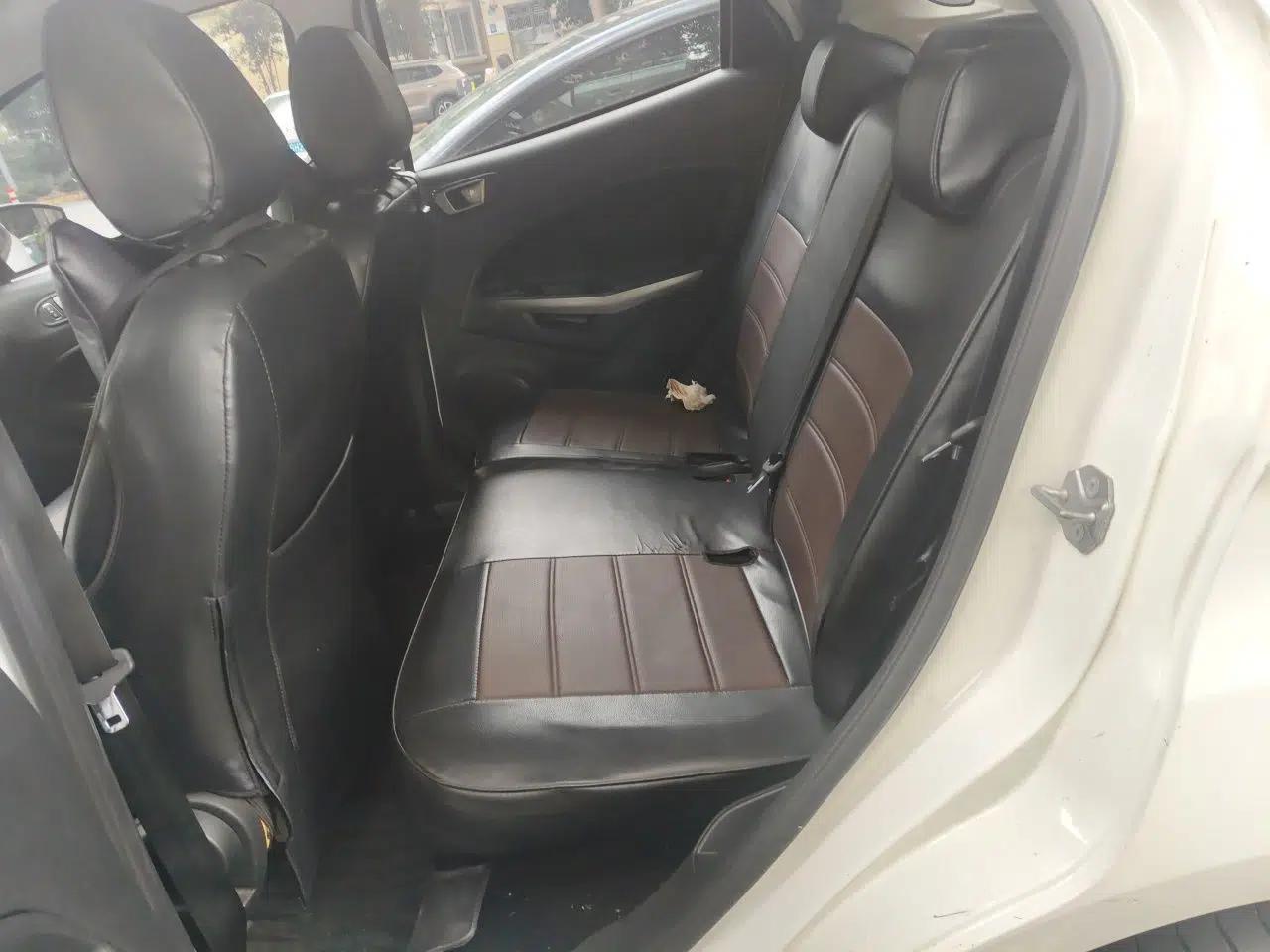 Ford EcoSport 2018 Revised 1.5L Automatic Platinum Wing Edition — миниатюра 17