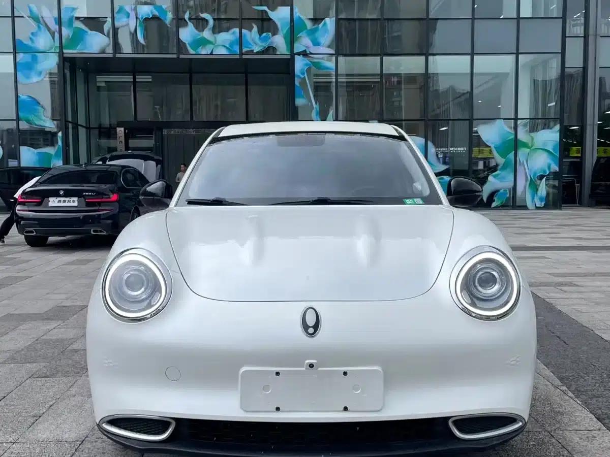 ORA Good Cat 2022 Model, 400km Standard Range, Premium Edition, Lithium Iron Phosphate — миниатюра 2