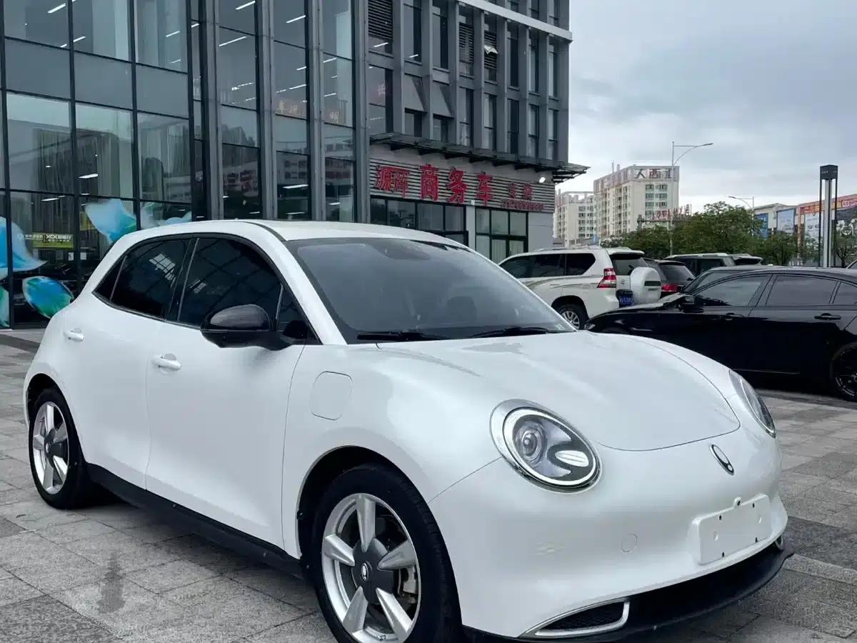 ORA Good Cat 2022 Model, 400km Standard Range, Premium Edition, Lithium Iron Phosphate — миниатюра 3