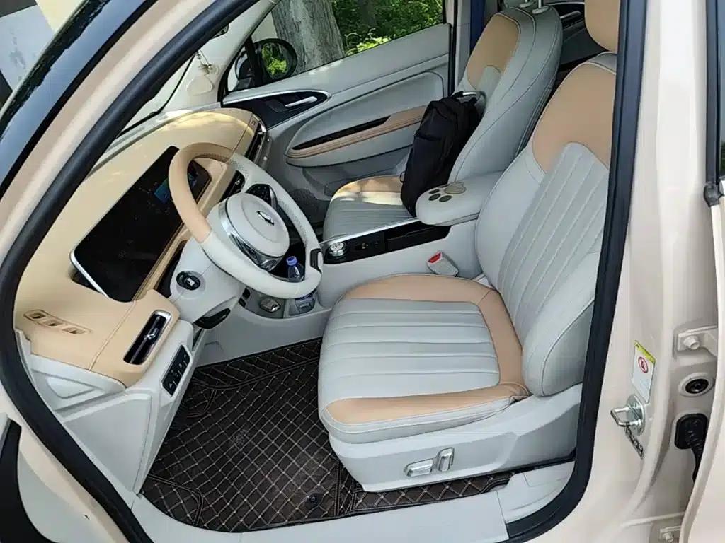 ORA Good Cat 2022 Morandi Edition, 400km Standard Range, Luxury Model, Ternary Lithium Lithium Battery — миниатюра 15