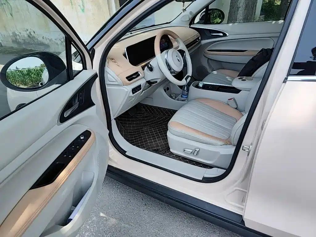 ORA Good Cat 2022 Morandi Edition, 400km Standard Range, Luxury Model, Ternary Lithium Lithium Battery — миниатюра 16