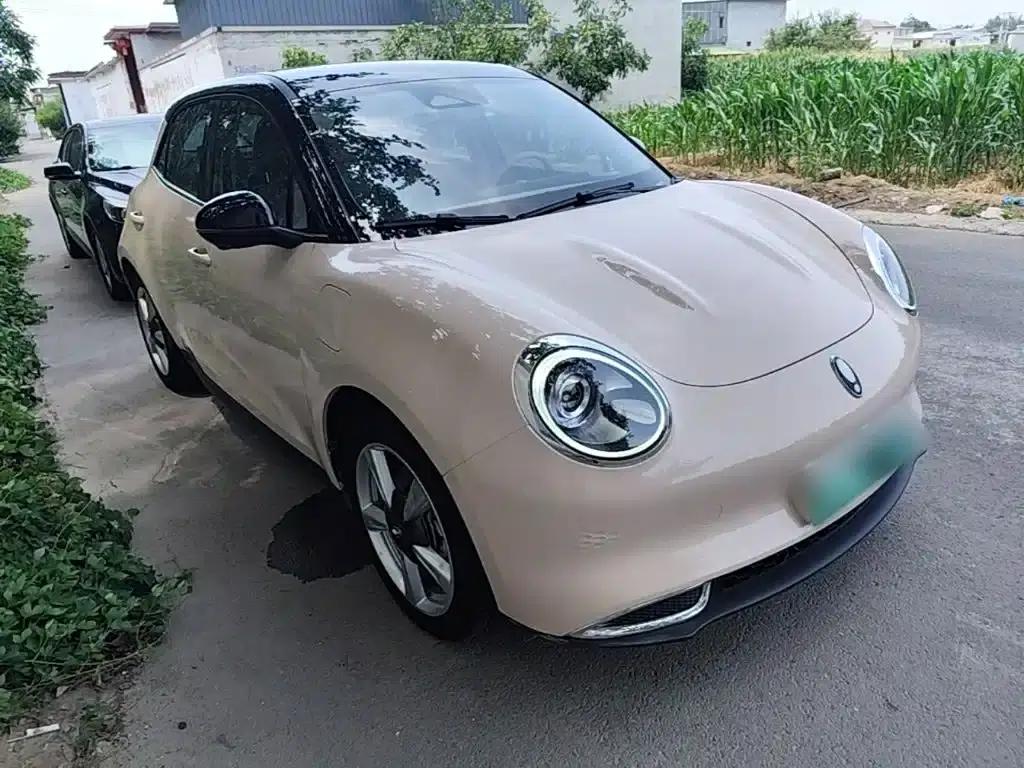 ORA Good Cat 2022 Morandi Edition, 400km Standard Range, Luxury Model, Ternary Lithium Lithium Battery — миниатюра 4