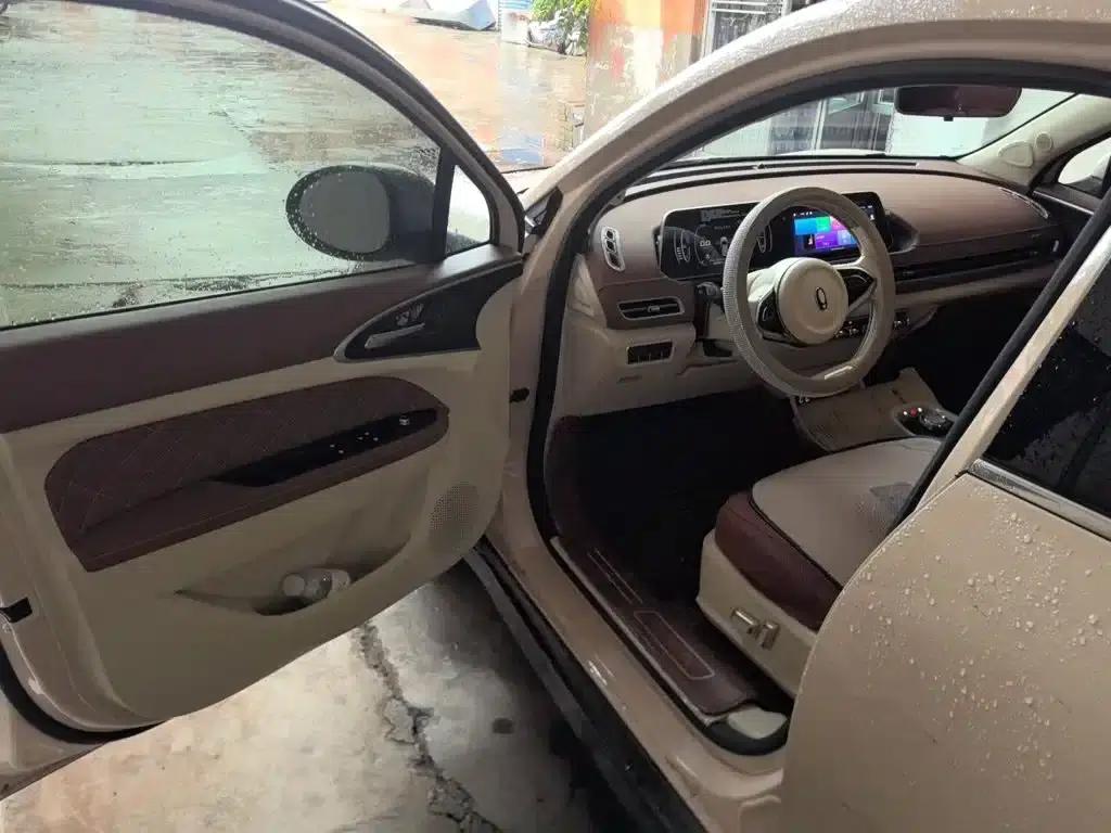 ORA Good Cat 2021 Model, 400km Standard Range, Athena Edition, Ternary Lithium Lithium Battery — миниатюра 13