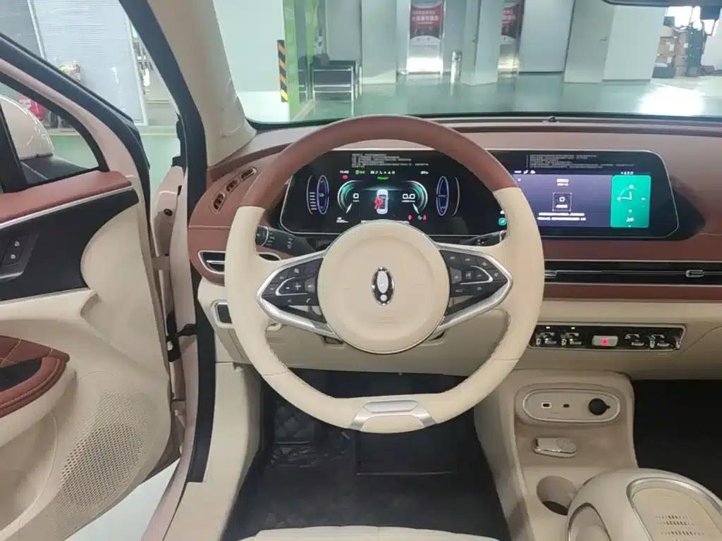 ORA Good Cat 2024 Model 401km Luxury — миниатюра 11