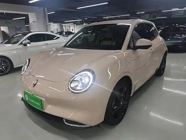 ORA Good Cat 2024 Model 401km Luxury