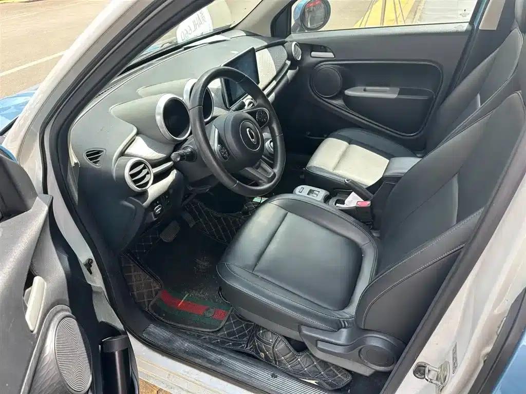 ORA Black Cat 2019 Model 351km Family Edition — миниатюра 8