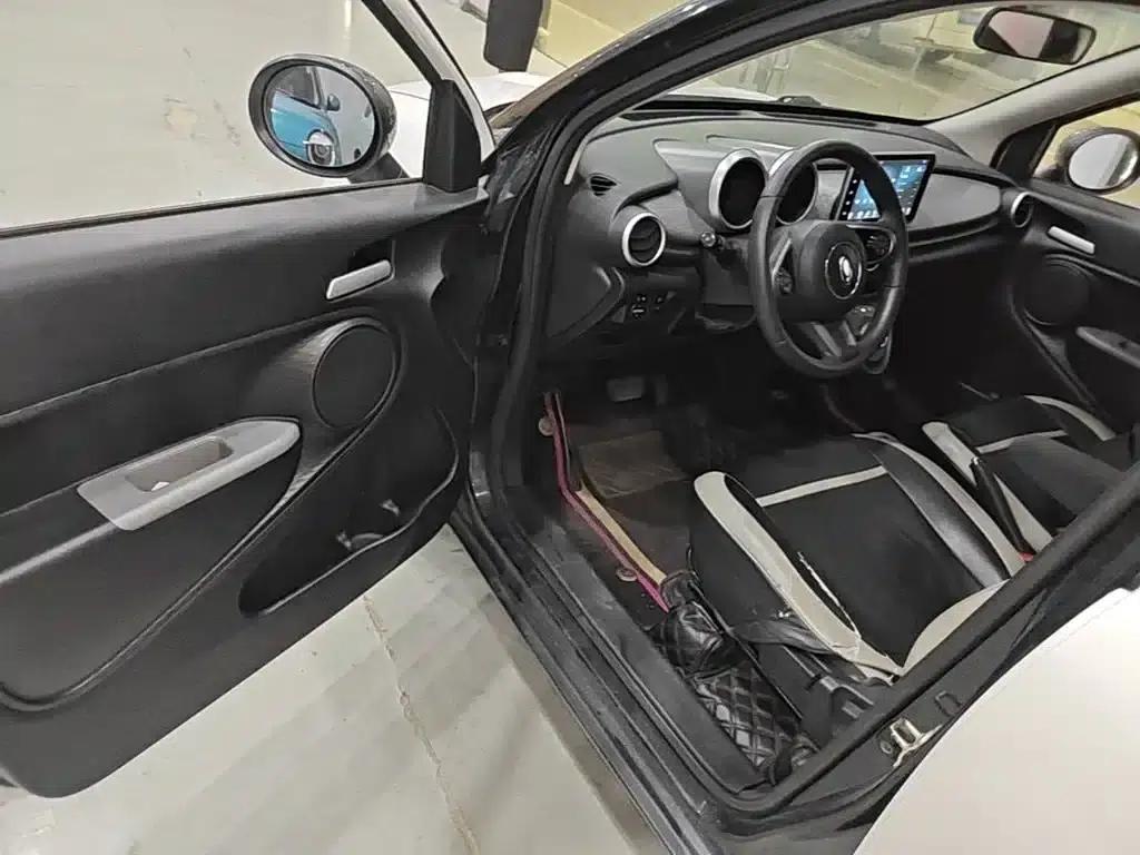 ORA Black Cat 2022 Model 301km Base Edition Ternary Lithium Lithium — миниатюра 16