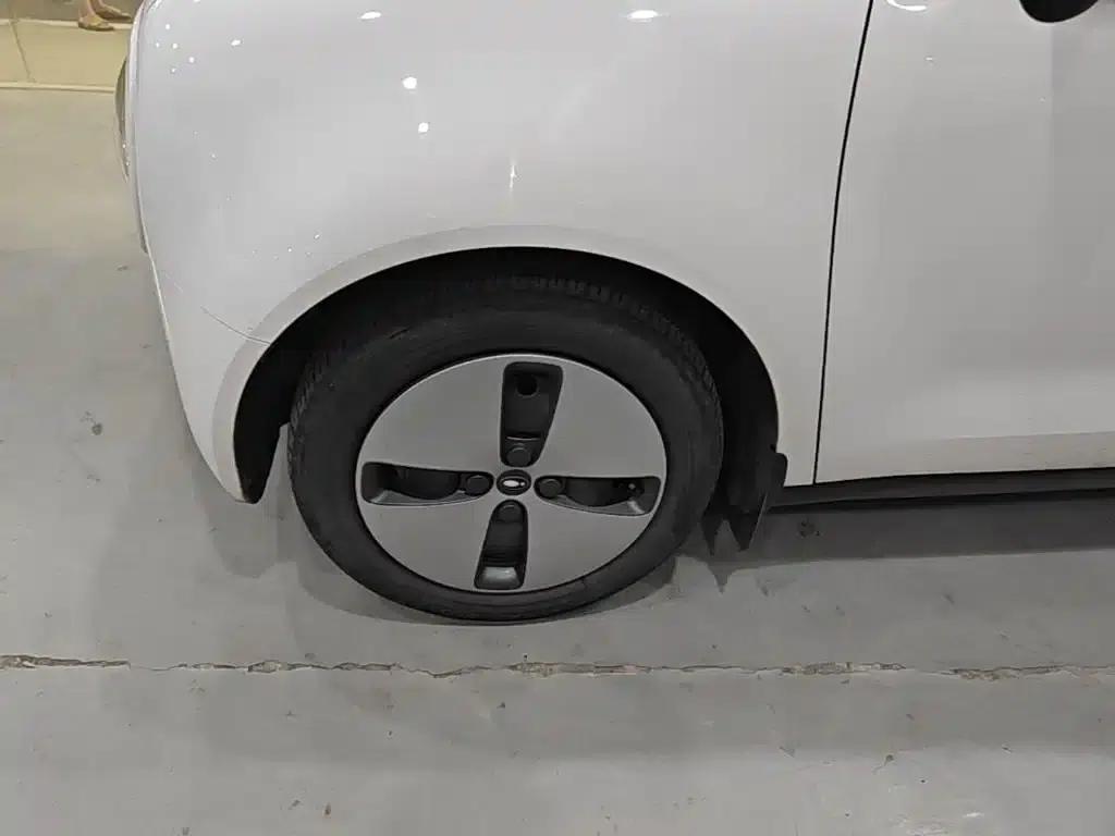 ORA Black Cat 2022 Model 301km Base Edition Ternary Lithium Lithium — миниатюра 23