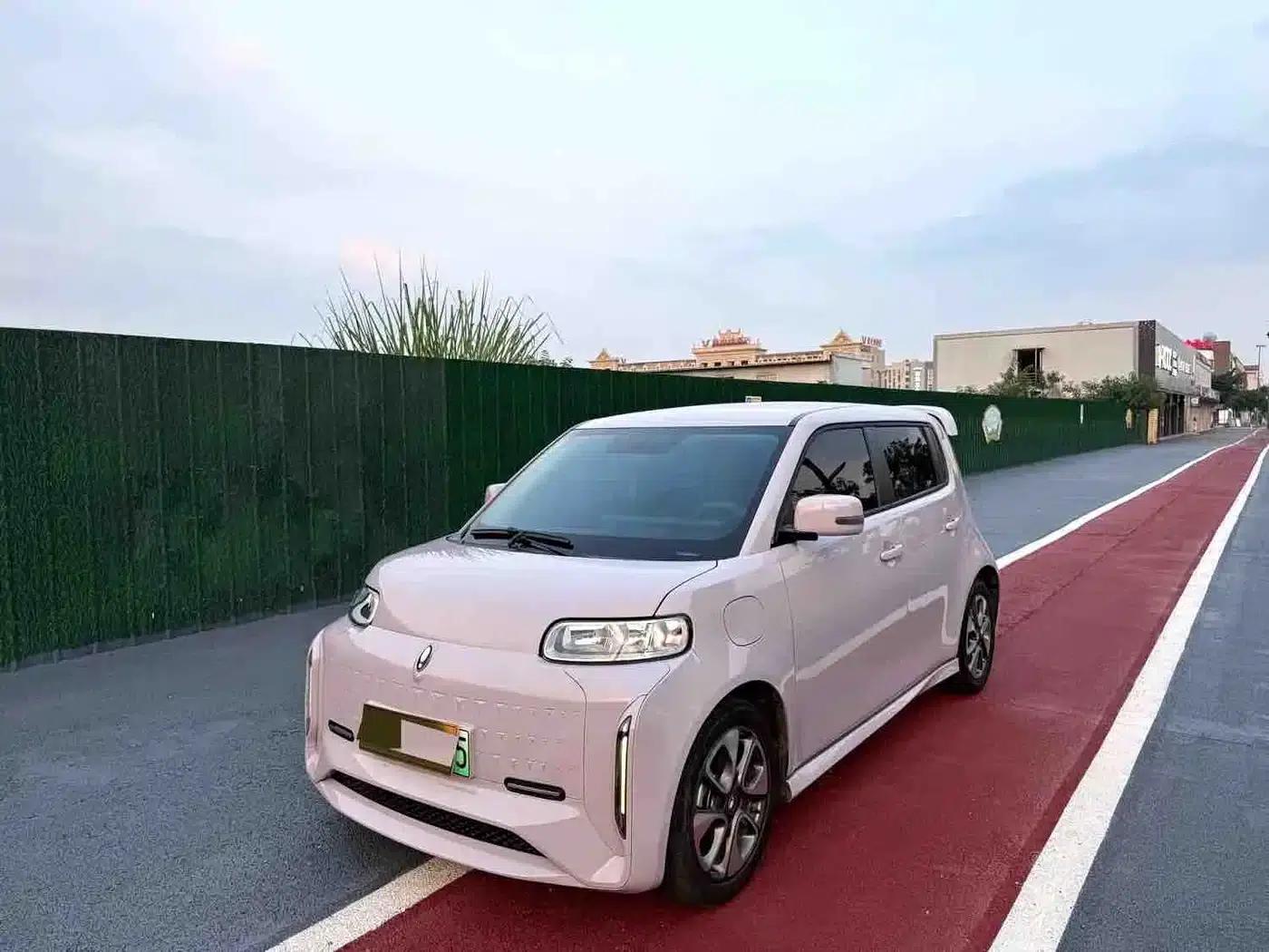ORA White Cat 2022 Little Wildcat Edition 360km Premium Model (Ternary Lithium) — миниатюра 1