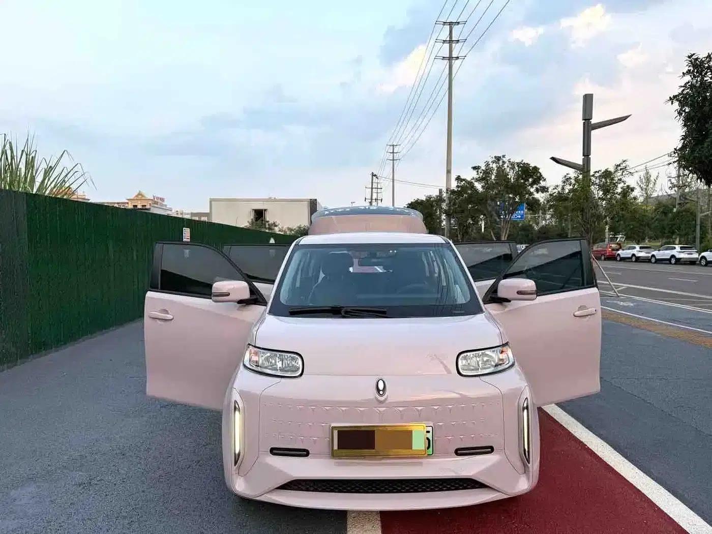 ORA White Cat 2022 Little Wildcat Edition 360km Premium Model (Ternary Lithium) — миниатюра 2