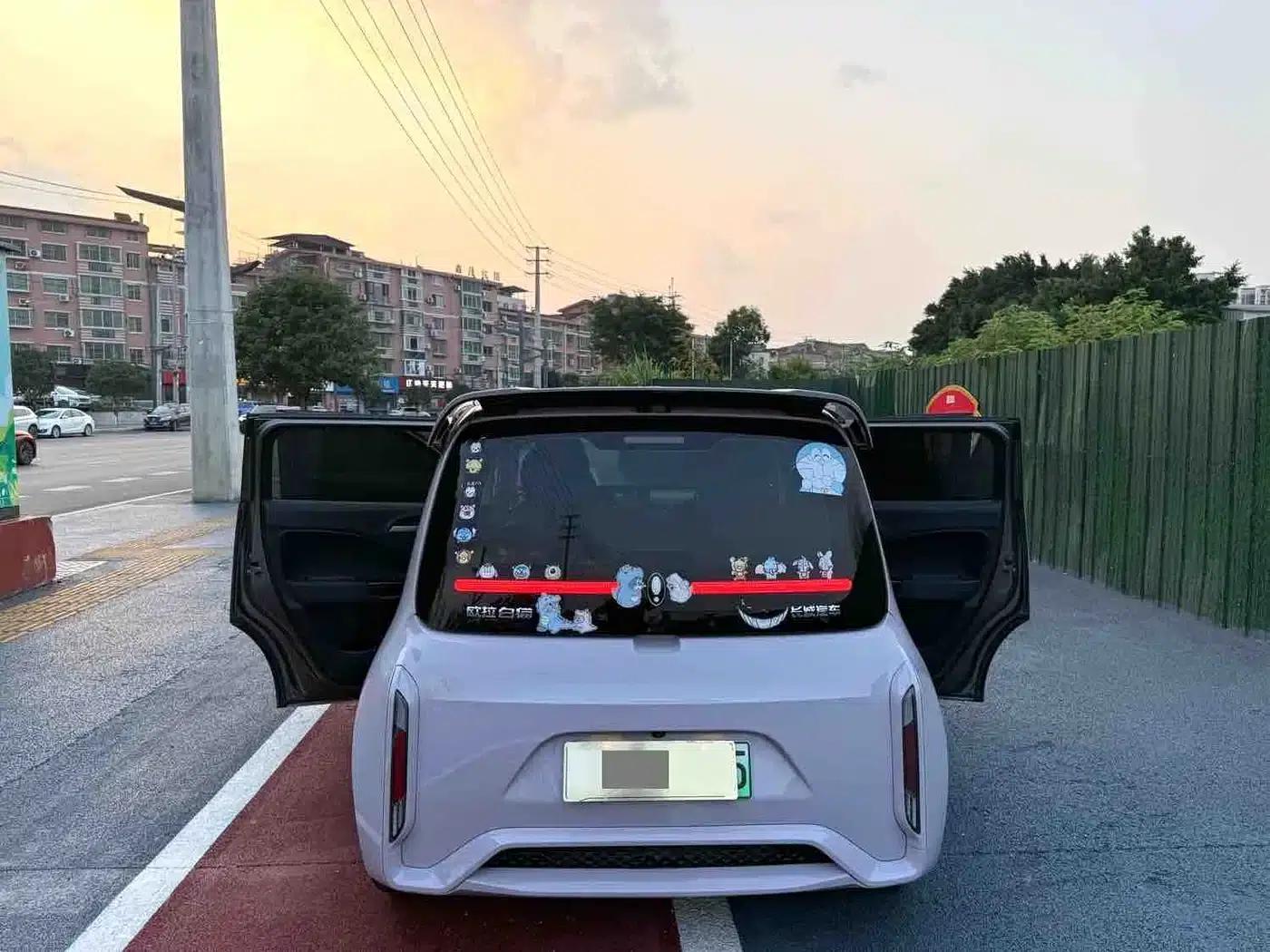 ORA White Cat 2022 Little Wildcat Edition 360km Premium Model (Ternary Lithium) — миниатюра 11