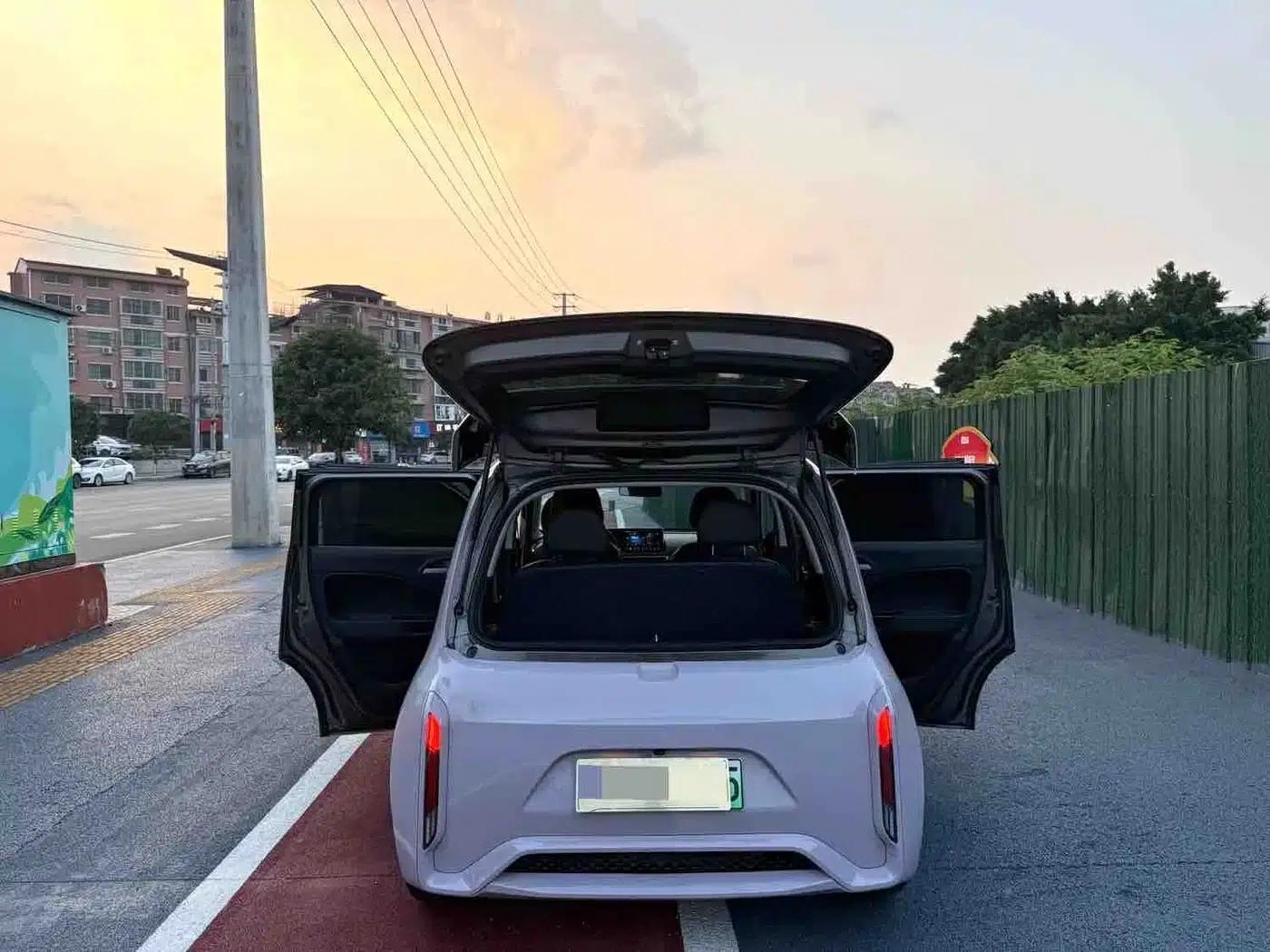 ORA White Cat 2022 Little Wildcat Edition 360km Premium Model (Ternary Lithium) — миниатюра 12