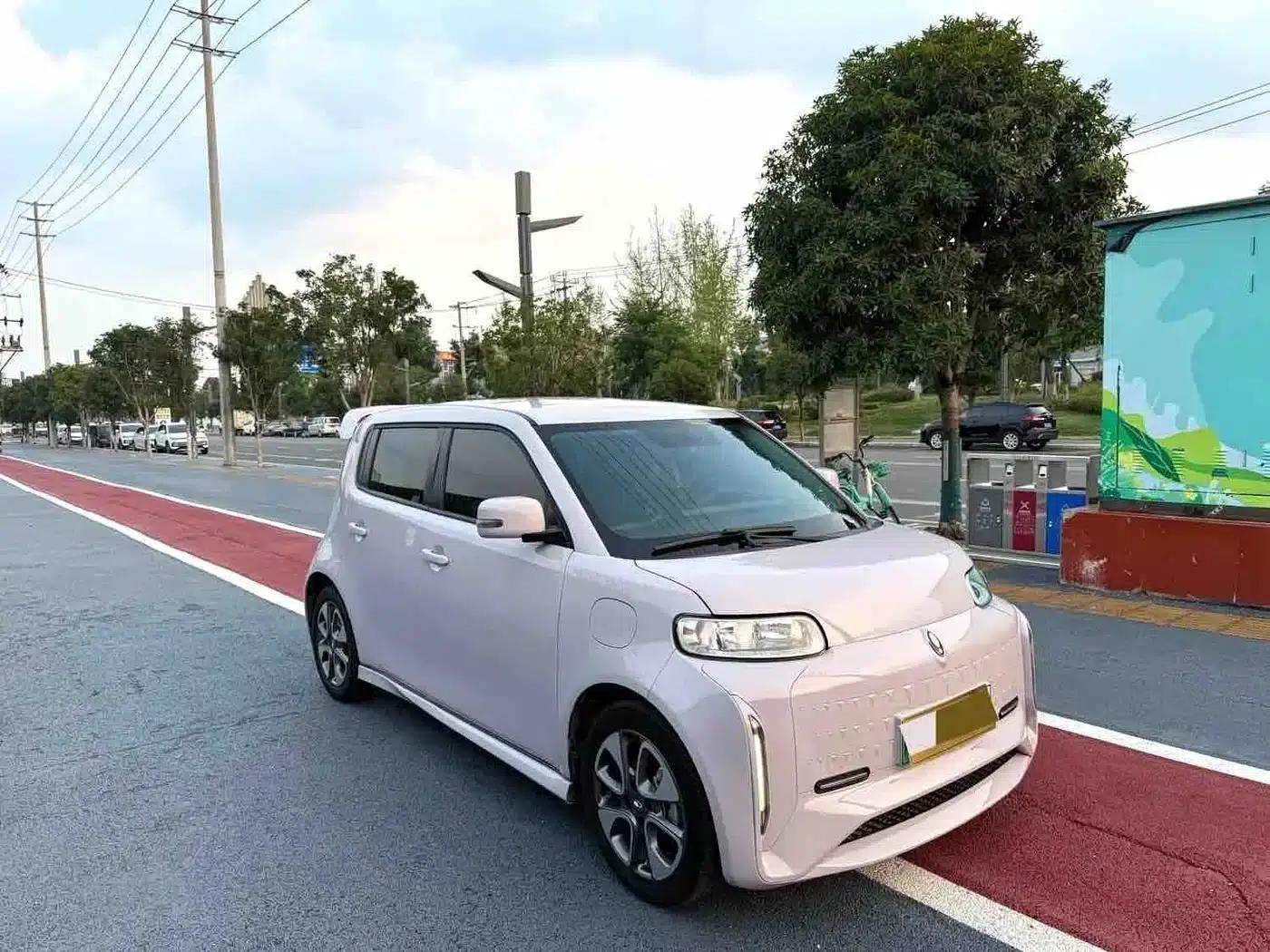 ORA White Cat 2022 Little Wildcat Edition 360km Premium Model (Ternary Lithium) — миниатюра 3