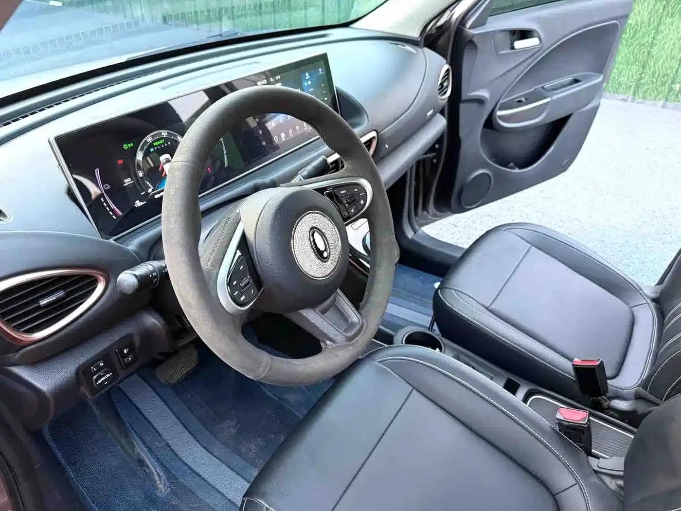ORA White Cat 2022 Little Wildcat Edition 360km Premium Model (Ternary Lithium) — миниатюра 9