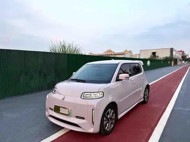 ORA White Cat 2022 Little Wildcat Edition 360km Premium Model (Ternary Lithium)