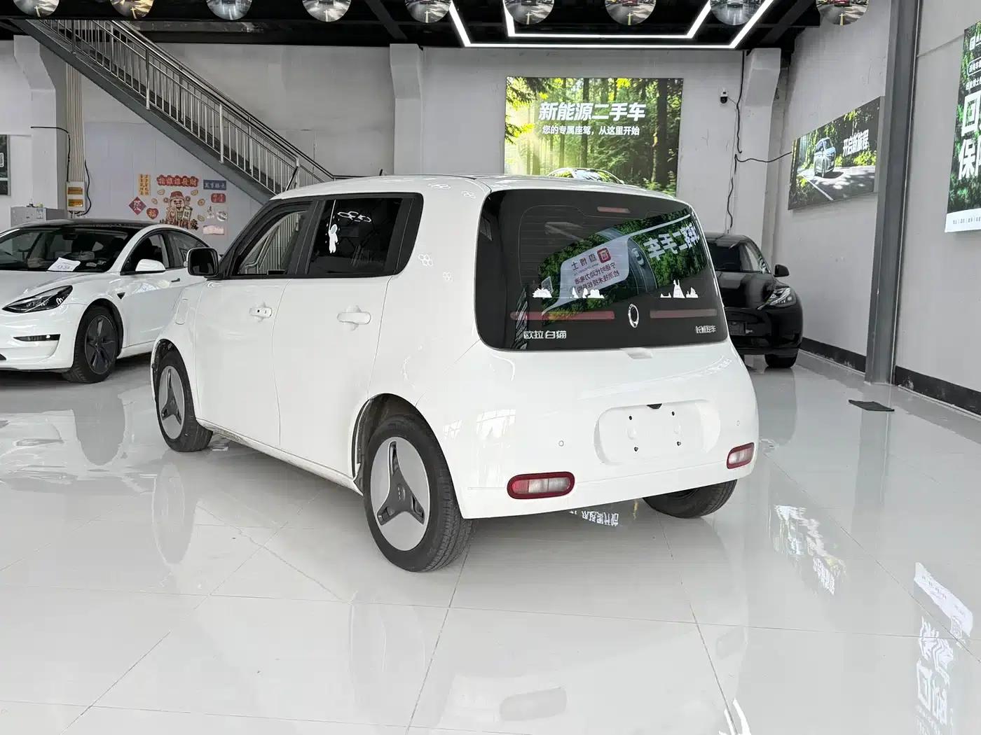 ORA White Cat 2020 360km Luxury Edition — миниатюра 19