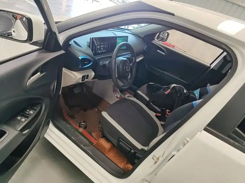 ORA White Cat 2020 Model 305km Luxury — миниатюра 16