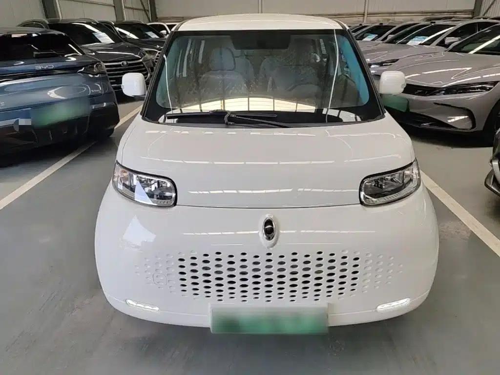 ORA White Cat 2020 Model 305km Luxury — миниатюра 3