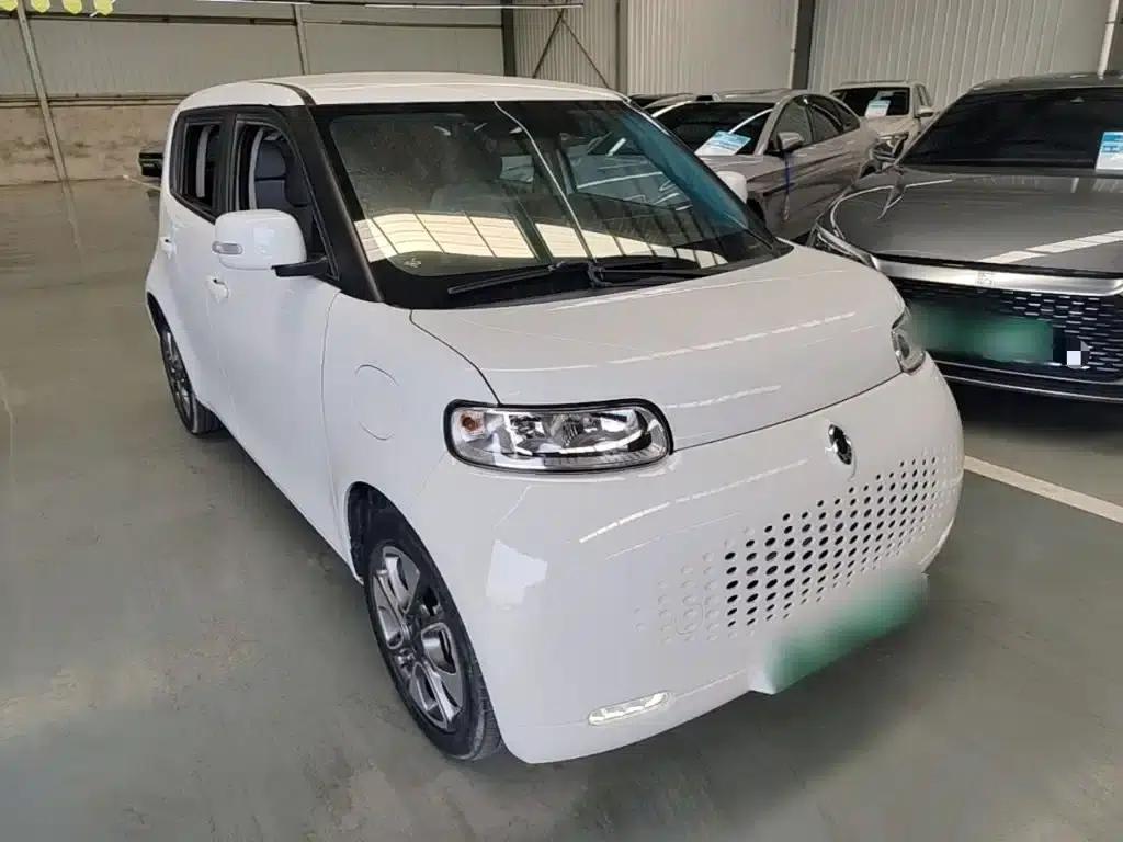 ORA White Cat 2020 Model 305km Luxury — миниатюра 4