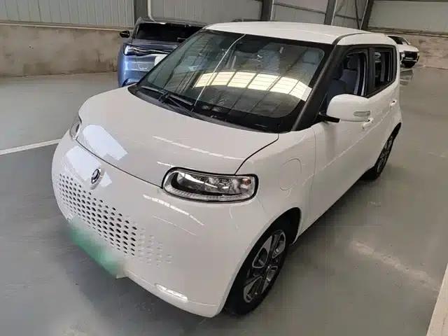 ORA White Cat 2020 Model 305km Luxury