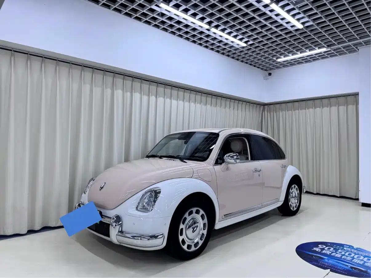Euler Ballet Cat 2022 Model 401km Nutcracker Edition — миниатюра 1