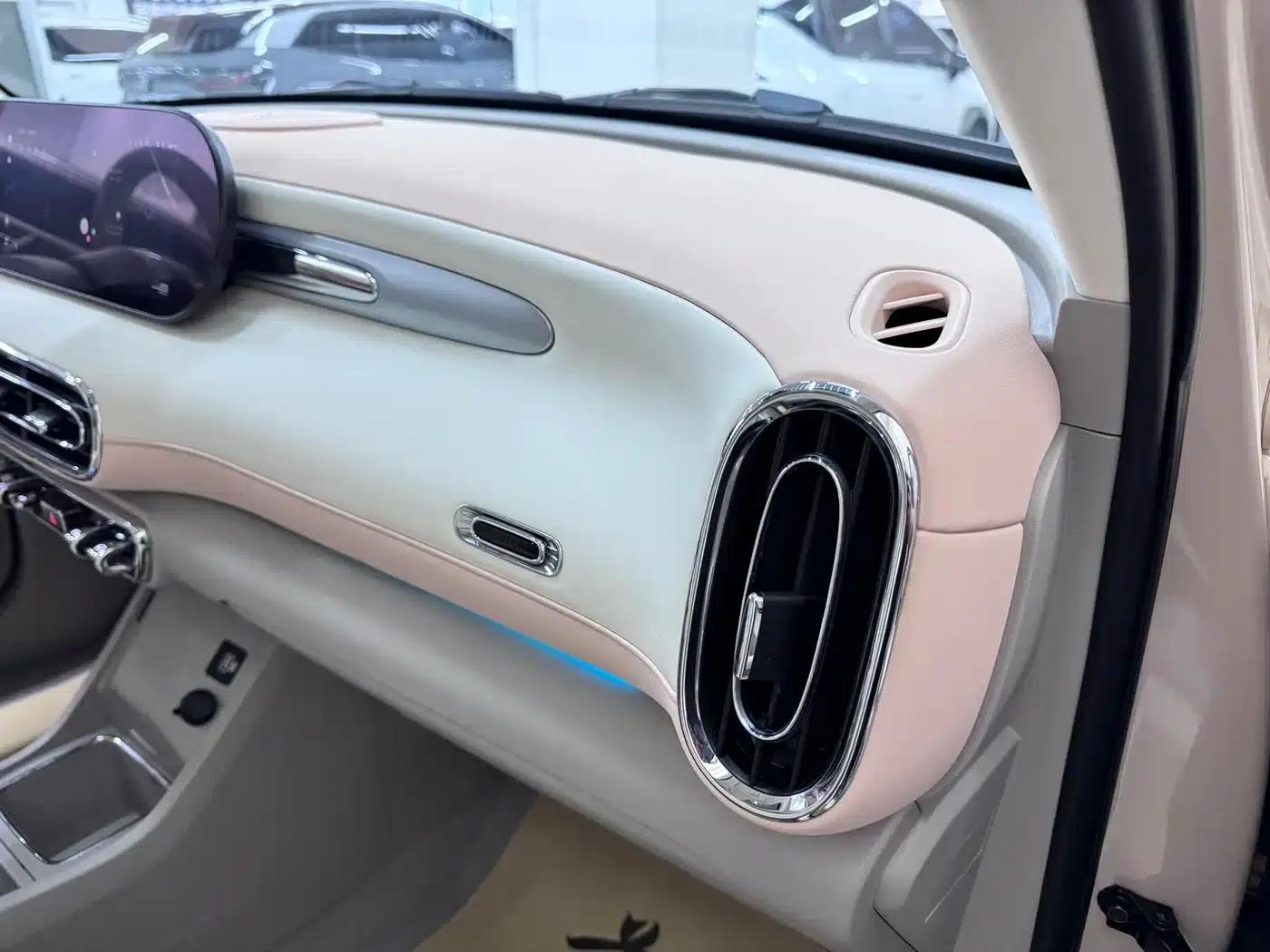 Euler Ballet Cat 2022 Model 401km Nutcracker Edition — миниатюра 9