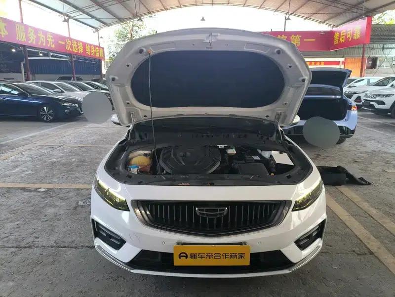 Xingrui 2020 2.0T Luxury Edition — миниатюра 12