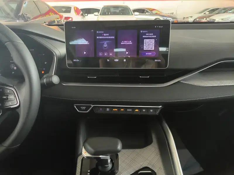 Xingrui 2020 2.0T Luxury Edition — миниатюра 14