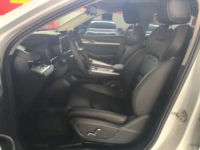 Xingrui 2020 2.0T Luxury Edition — миниатюра 18