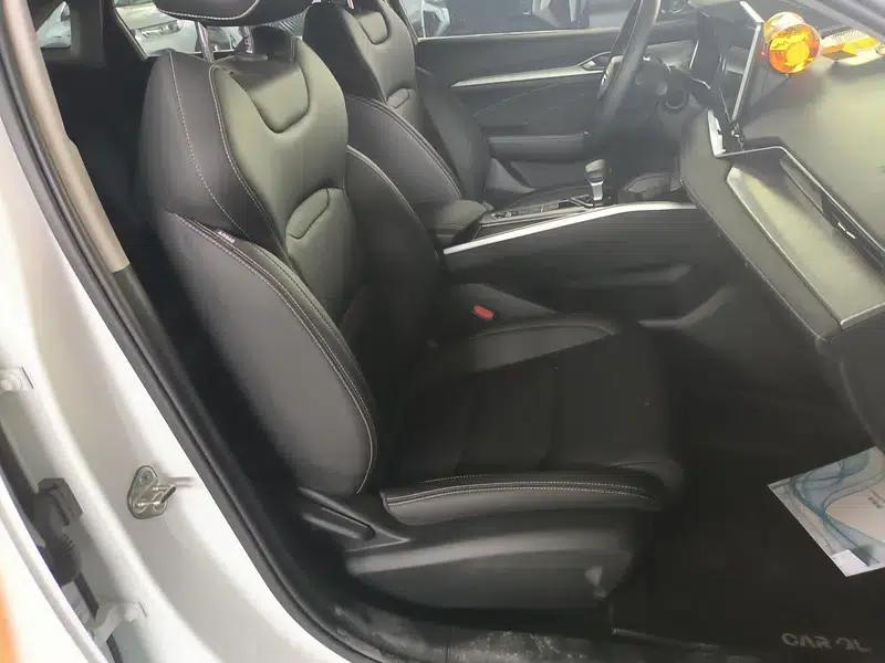 Xingrui 2020 2.0T Luxury Edition — миниатюра 19