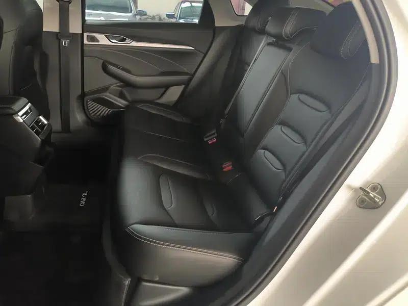 Xingrui 2020 2.0T Luxury Edition — миниатюра 20