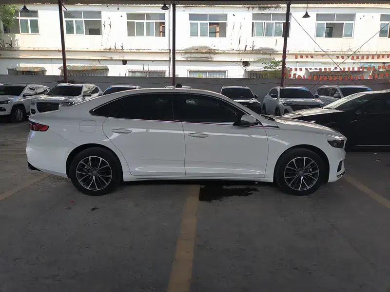 Xingrui 2020 2.0T Luxury Edition — миниатюра 8